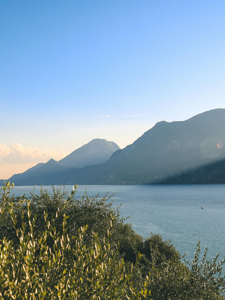 Le Marche